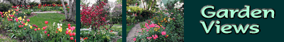 garden views